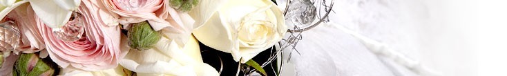 Wedding Ideas