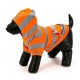 Striped Hoodie Orange/Grey Dog